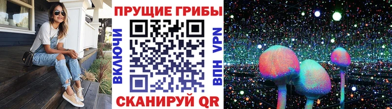 Купить  Чусовой  Галлюциногенные грибы ЛСД 